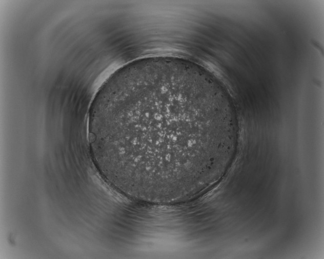 X0000099961275200806061557