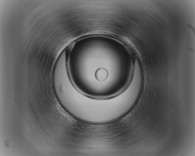 X0000099961276200806061557