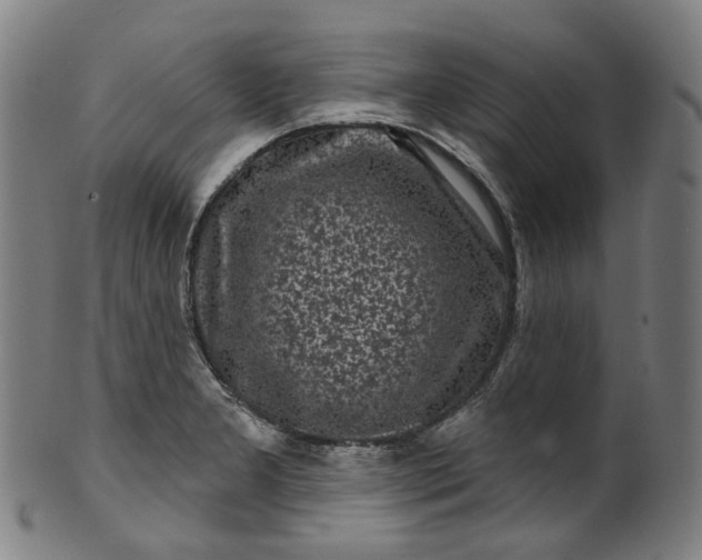 X0000099961277200806061557