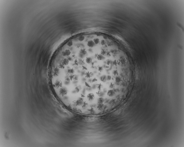 X0000099961278200806061557