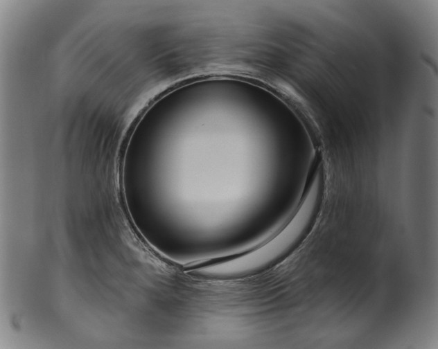 X0000099961280200806061557