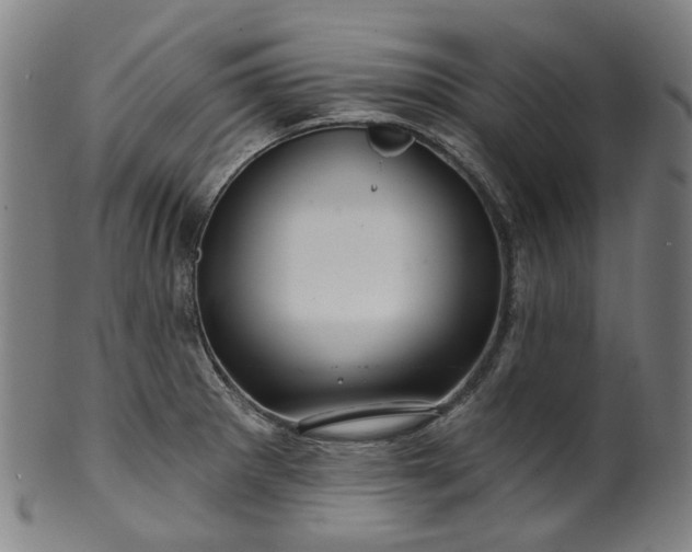 X0000099961281200806061557