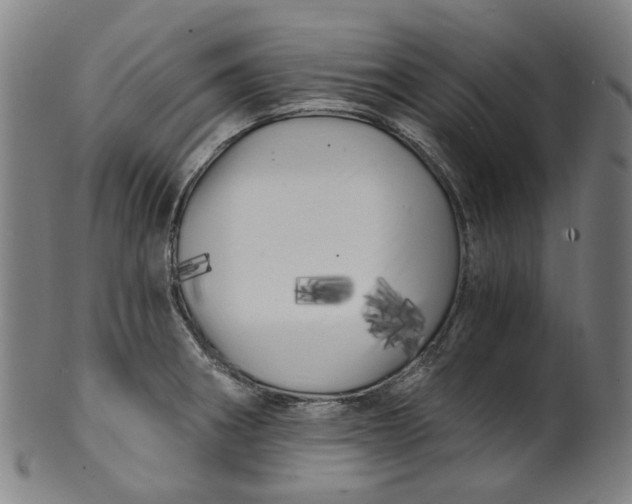 X0000099961282200806061557