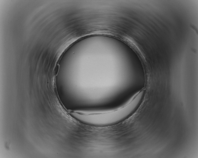 X0000099961284200806061557