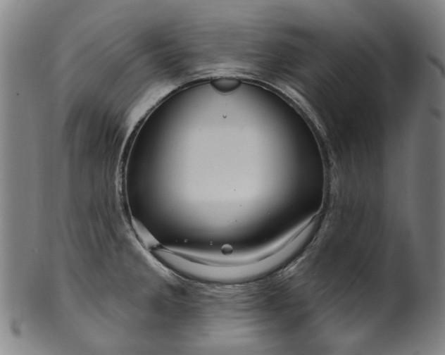 X0000099961285200806061557