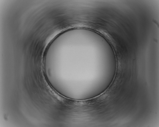 X0000099961286200806061557