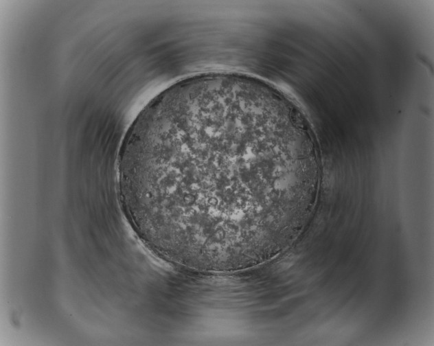 X0000099961287200806061557