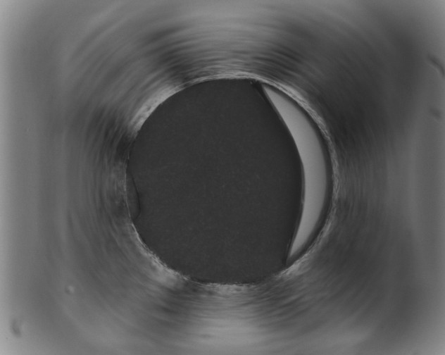 X0000099961289200806061557
