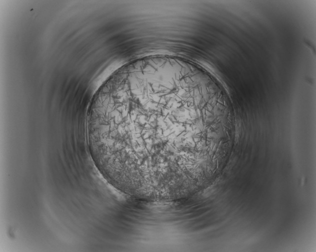 X0000099961290200806061557