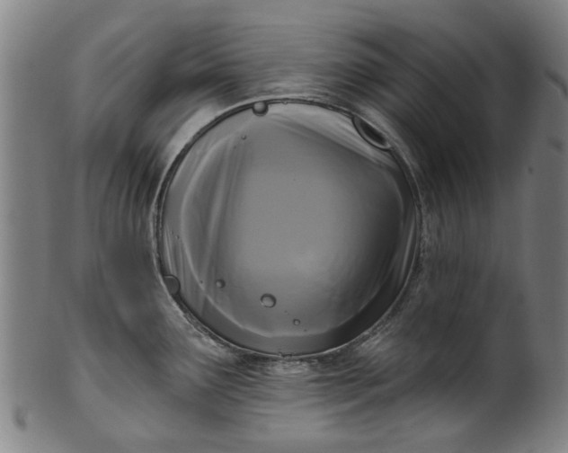 X0000099961291200806061557