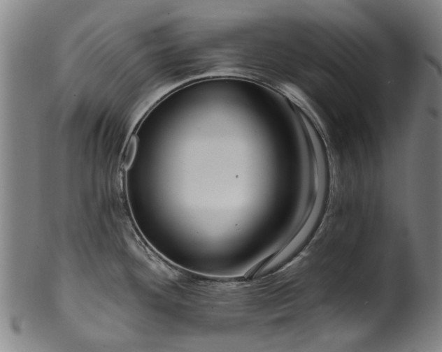 X0000099961292200806061557