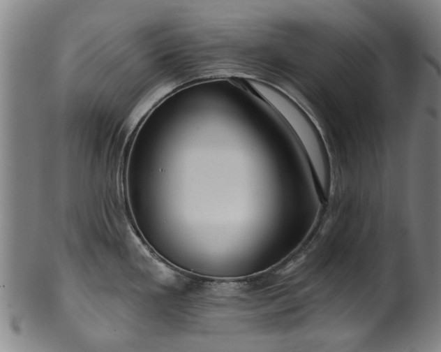 X0000099961293200806061557