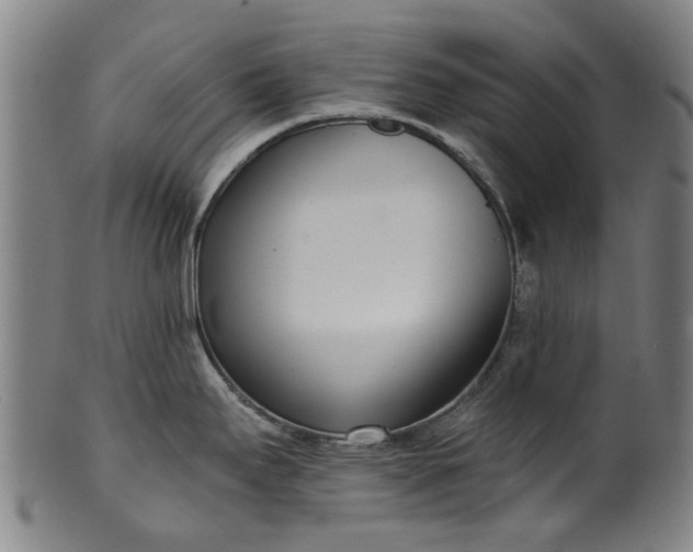 X0000099961295200806061557