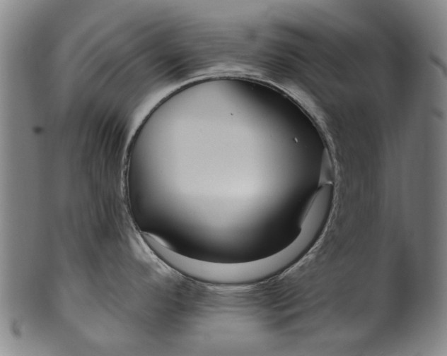 X0000099961296200806061557