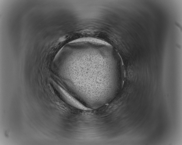 X0000099961297200806061556