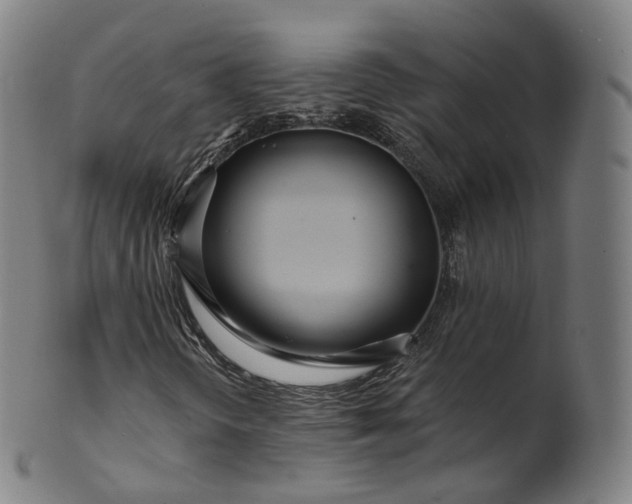 X0000099961298200806061556