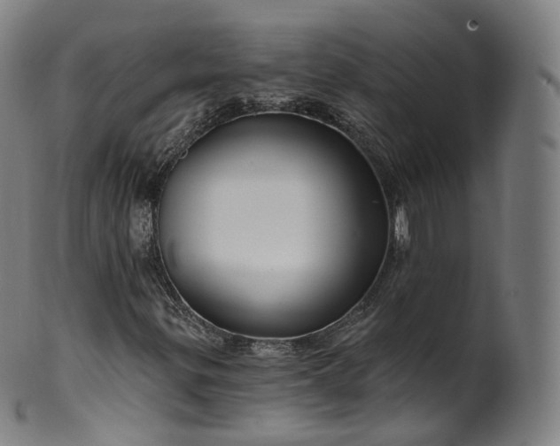 X0000099961299200806061556