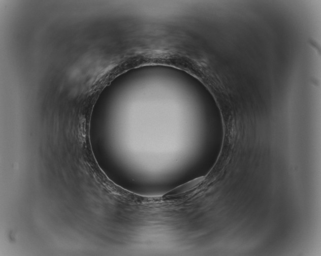 X0000099961301200806061556