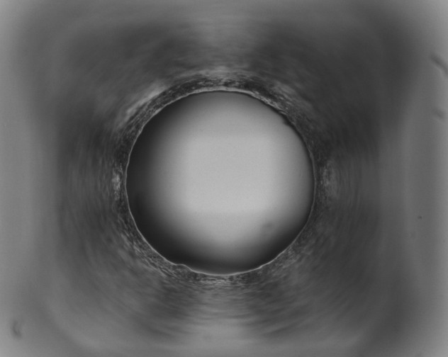 X0000099961302200806061556