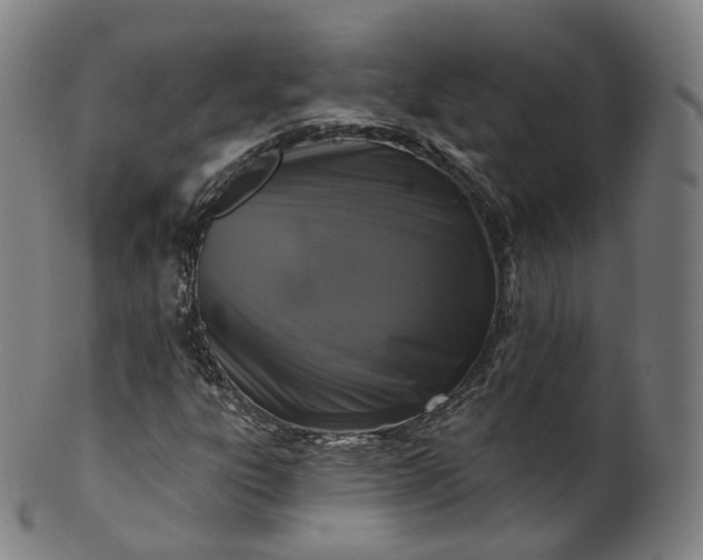 X0000099961303200806061556