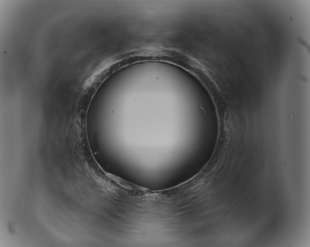X0000099961304200806061556
