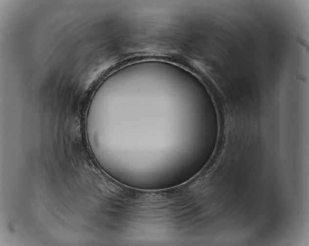 X0000099961307200806061556