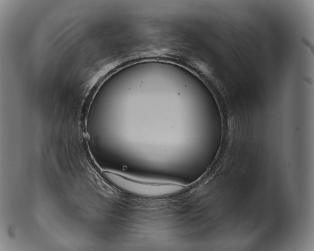 X0000099961308200806061556