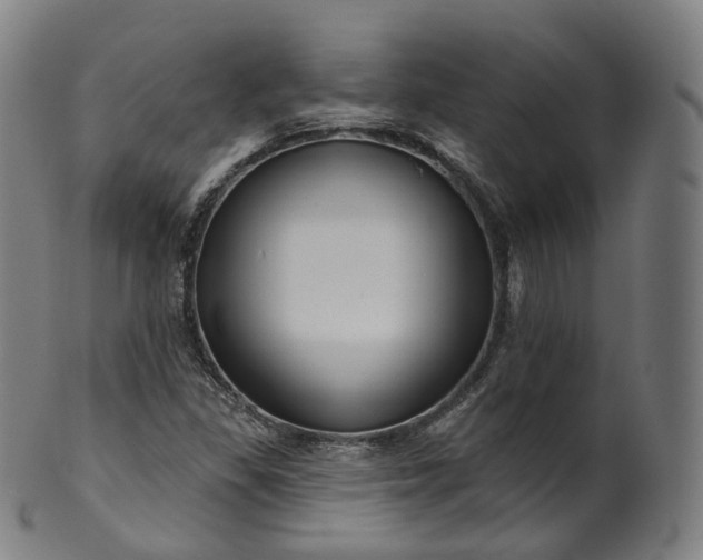 X0000099961309200806061556