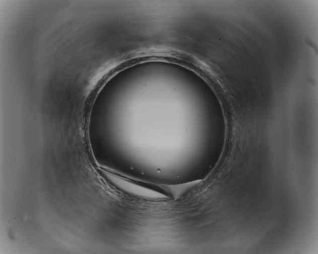 X0000099961312200806061556
