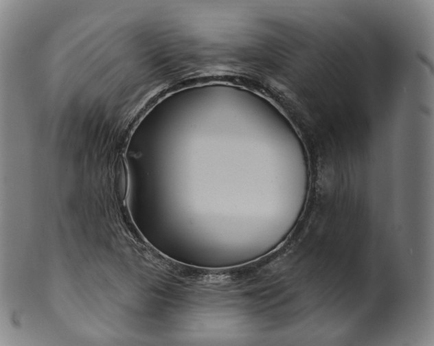 X0000099961313200806061556