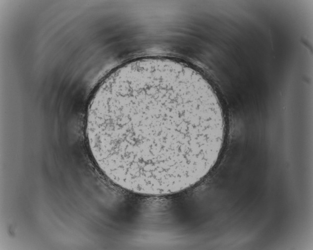 X0000099961314200806061556