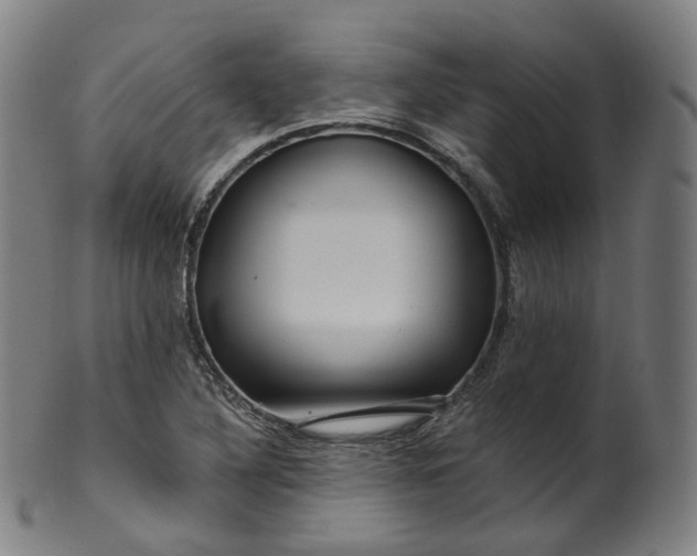 X0000099961316200806061556