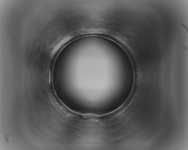 X0000099961317200806061556