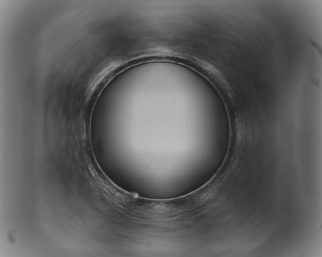 X0000099961318200806061557