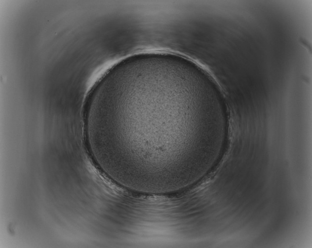 X0000099961319200806061557