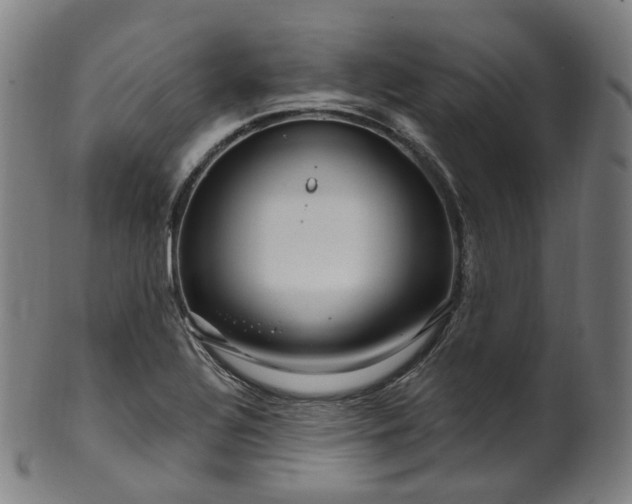 X0000099961320200806061557