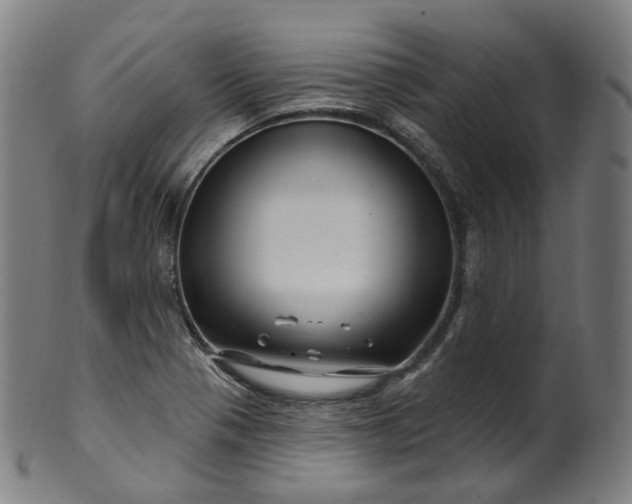 X0000099961321200806061557