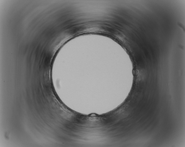 X0000099961322200806061557