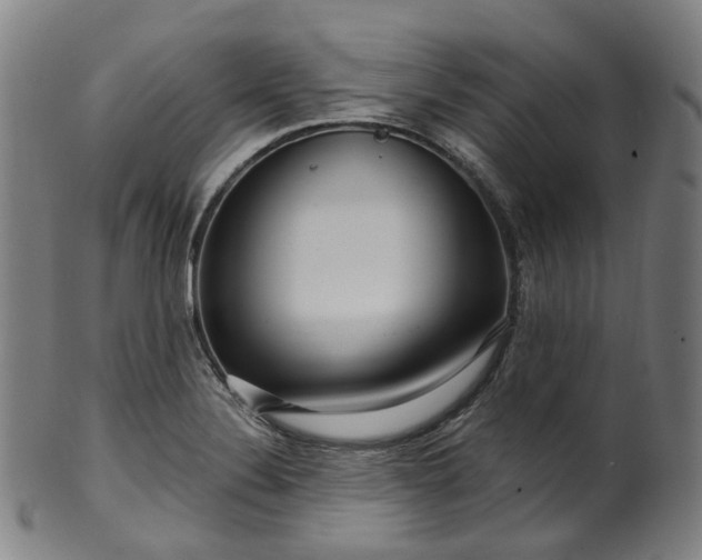 X0000099961324200806061557