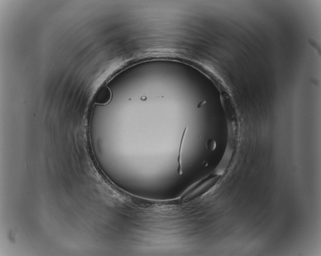 X0000099961325200806061557