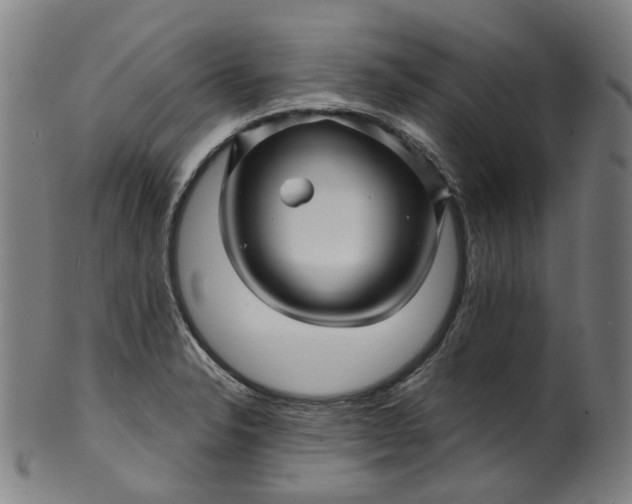 X0000099961326200806061557