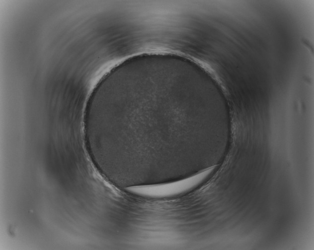 X0000099961327200806061557