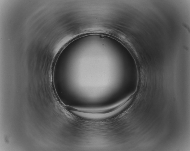 X0000099961328200806061557