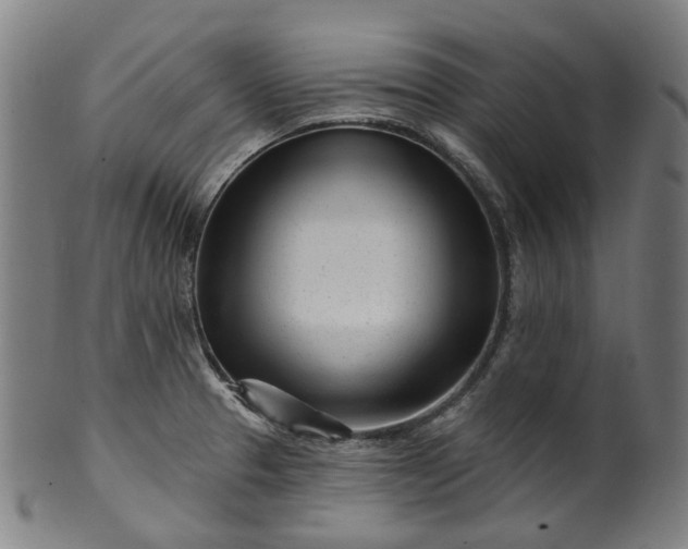 X0000099961329200806061557