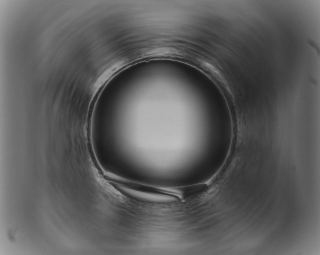 X0000099961330200806061557