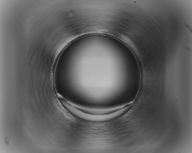 X0000099961332200806061557