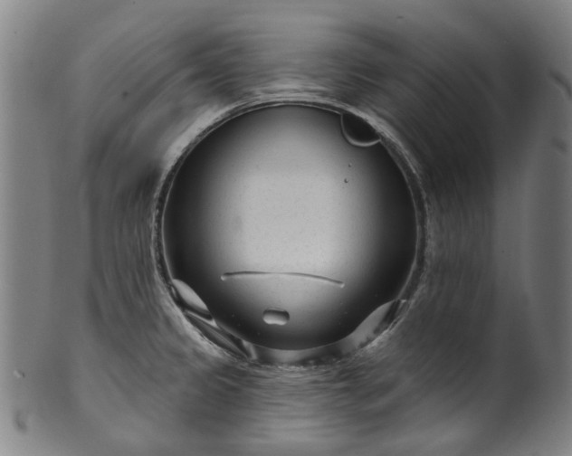 X0000099961333200806061557