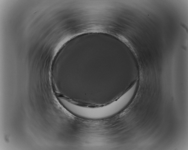X0000099961334200806061557