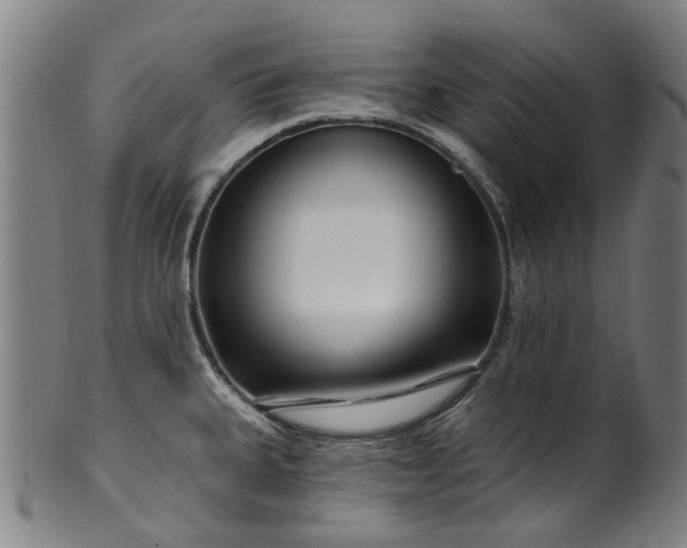 X0000099961335200806061557