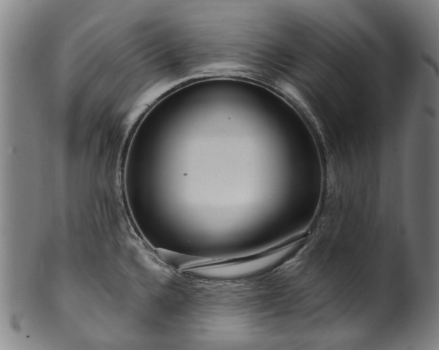 X0000099961336200806061557